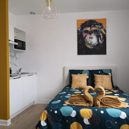 Cosy- Chaleureux- Quartier Calme- Wifi * Saint-Quentin (Aisne)
