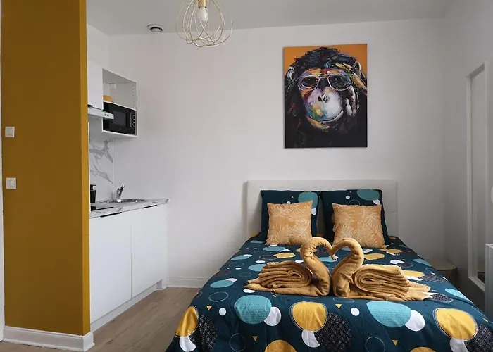 Cosy- Chaleureux- Quartier Calme- Wifi * Saint-Quentin (Aisne)