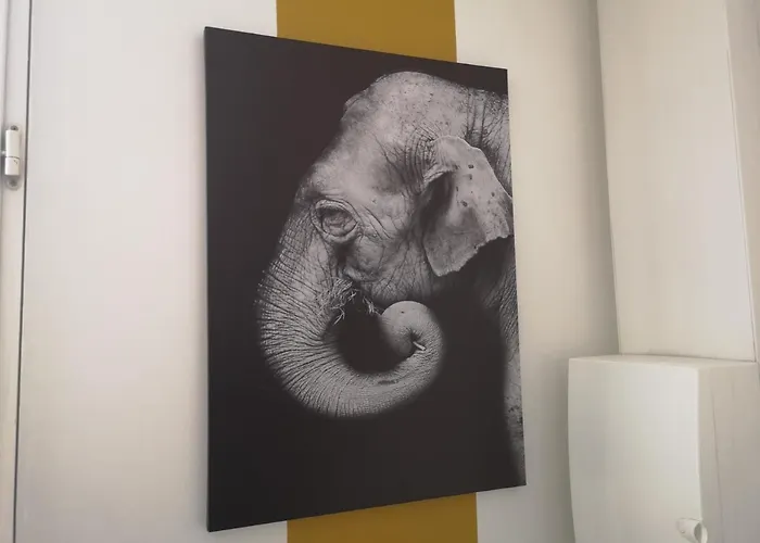 Cosy- Chaleureux- Quartier Calme- Wifi