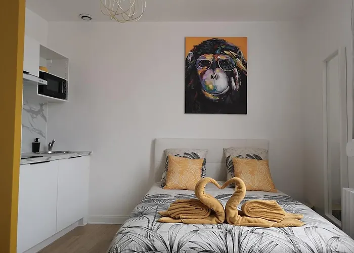 Cosy- Chaleureux- Quartier Calme- Wifi * Saint-Quentin (Aisne)